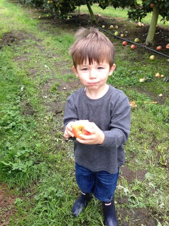 b-apple