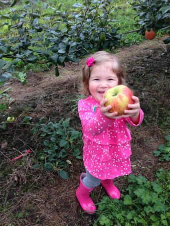 l-apple