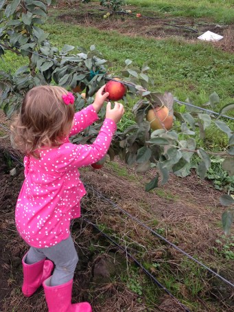 l-picking