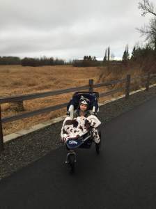 blaise-stroller