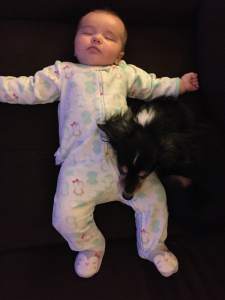 Nappers