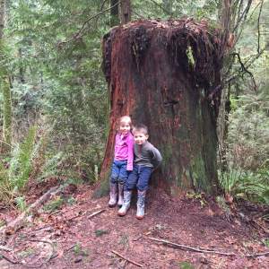 Coal Creek Falls Hike