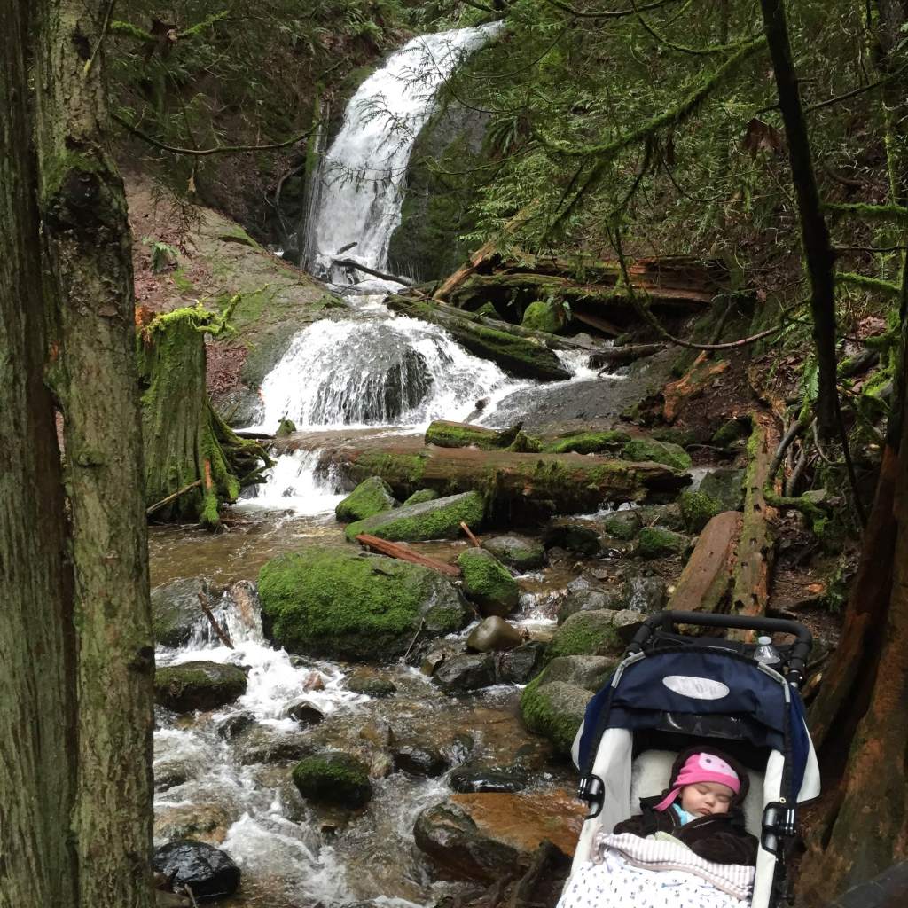 Coal Creek Falls