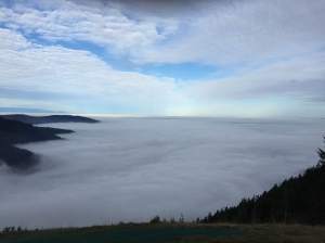 Foggy Hike