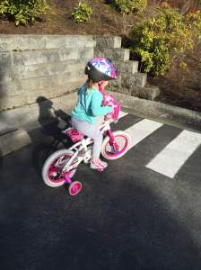 Biker Laine