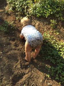 29dirt-saige