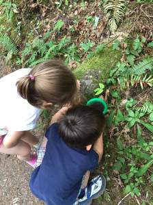 33rw-hike