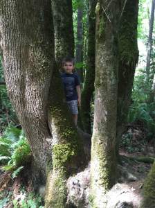 34rw-hike