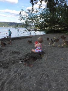 37beach-ducks