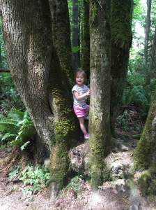 37rw-hike