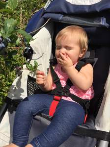 46blueberry-saige