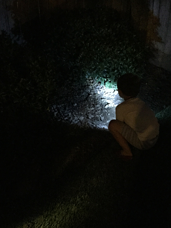29-sept15