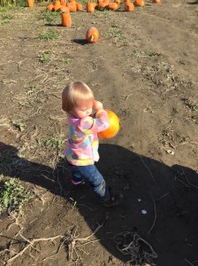 saige3