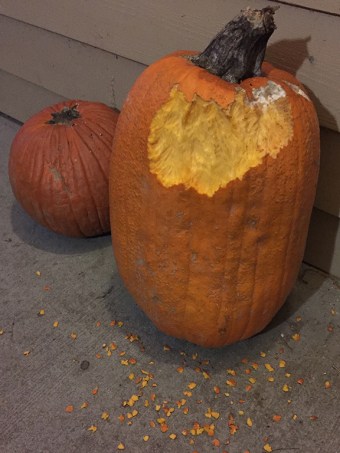 37-nov2015