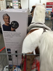 bigasshorse