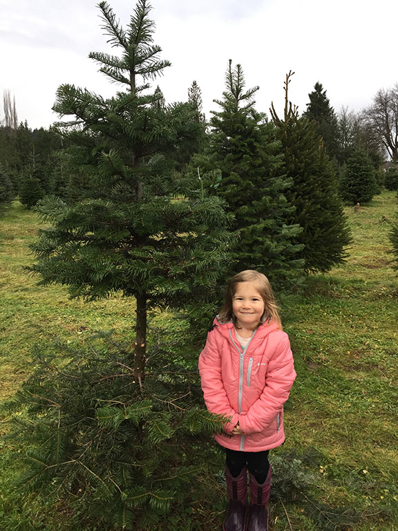19-dec2015