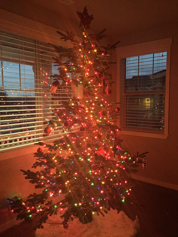 81-dec2015