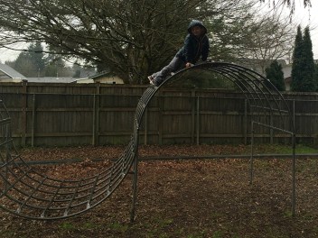 50-feb2016