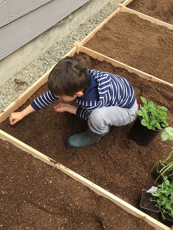 12-garden2016