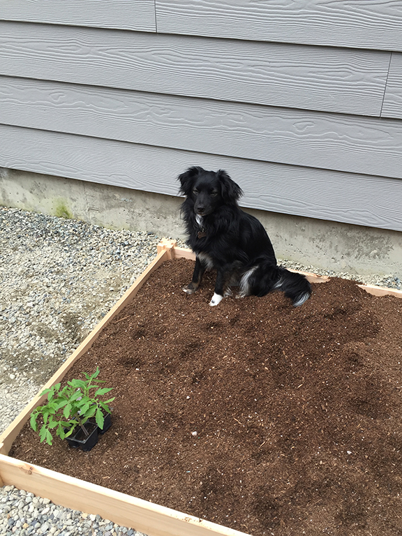 26-garden2016