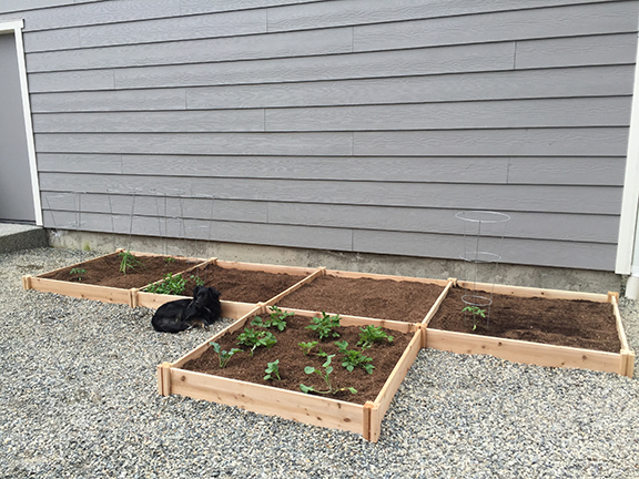 44-garden2016