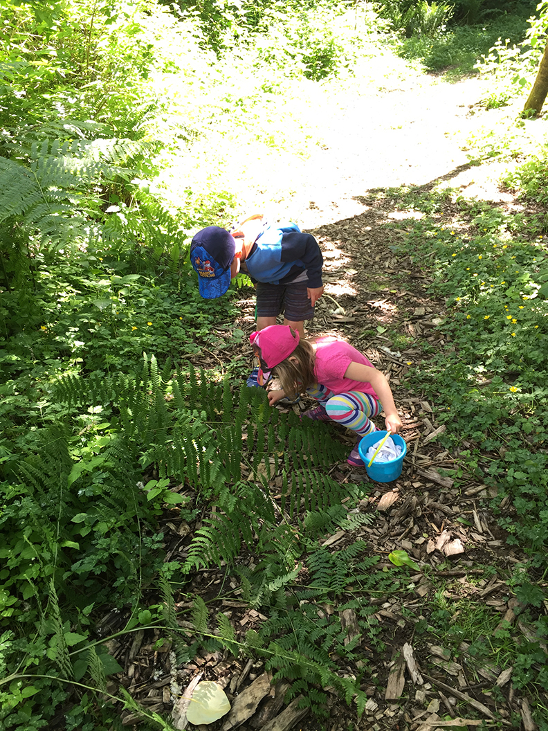 04-may20hike