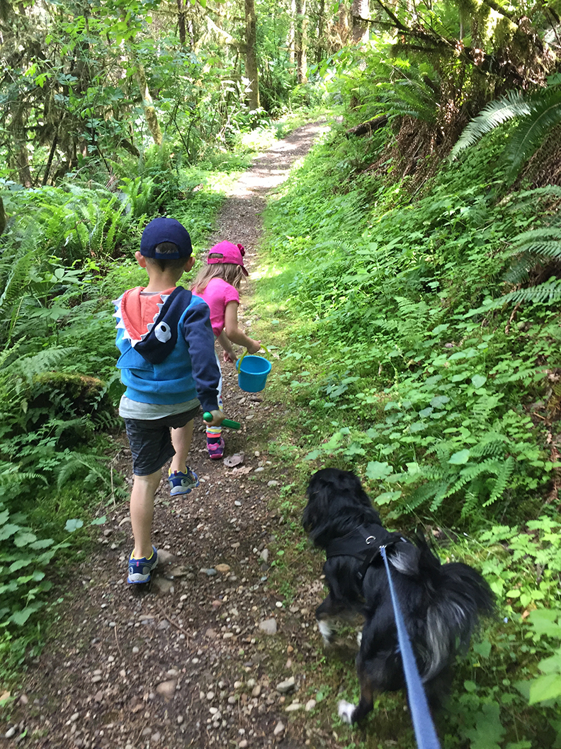 08-may20hike