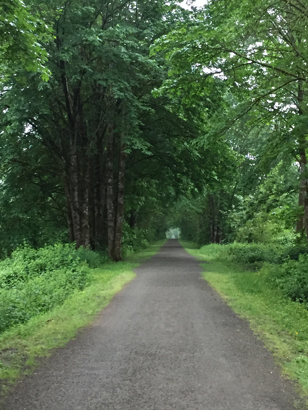 16-may15trailwalk