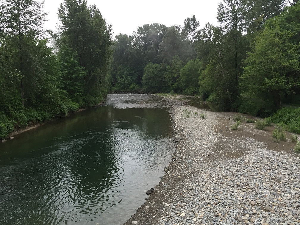 19-may15trailwalk