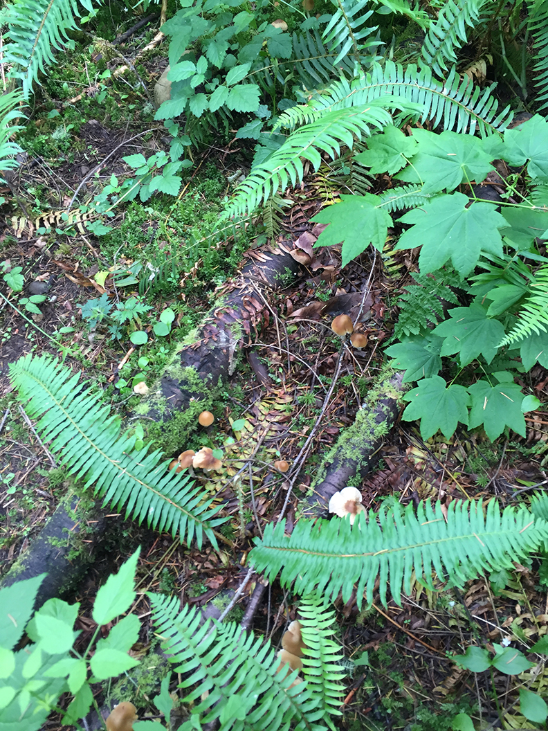 23-may20hike