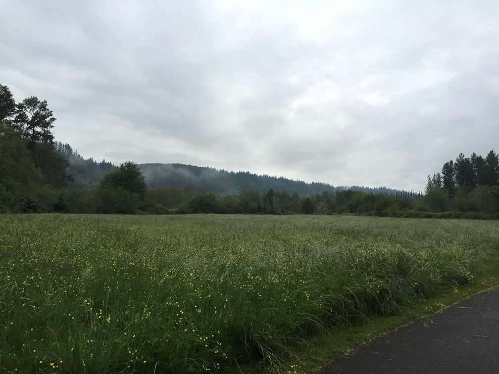 24-may15trailwalk