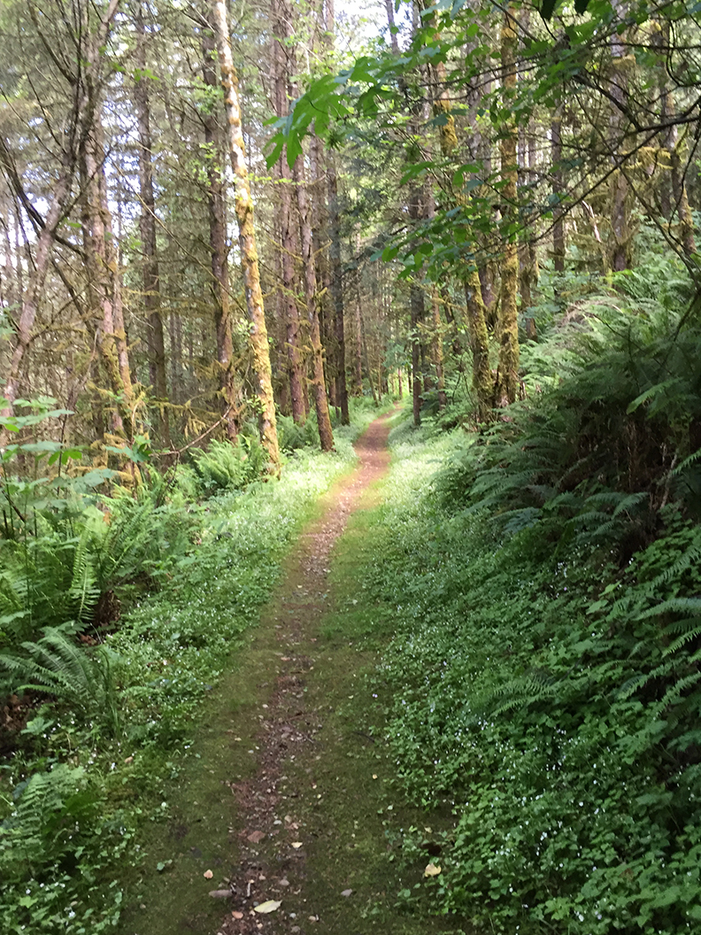 27-may20hike