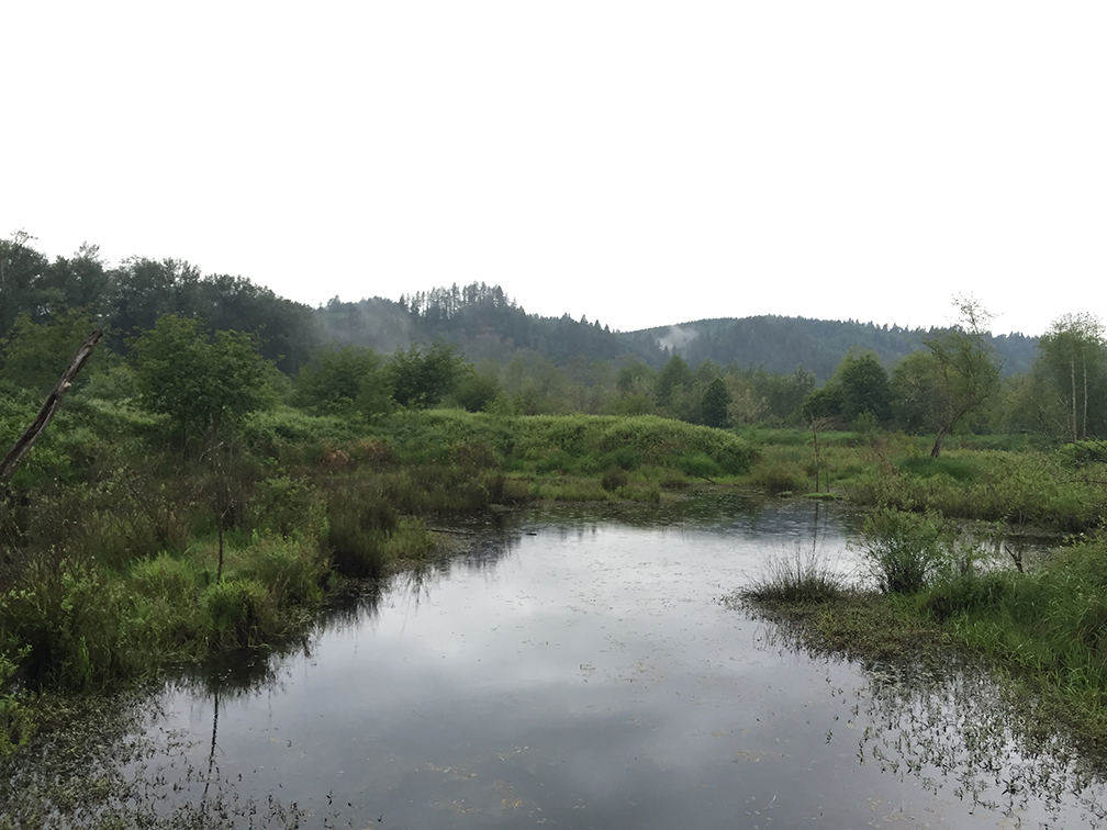 30-may15trailwalk