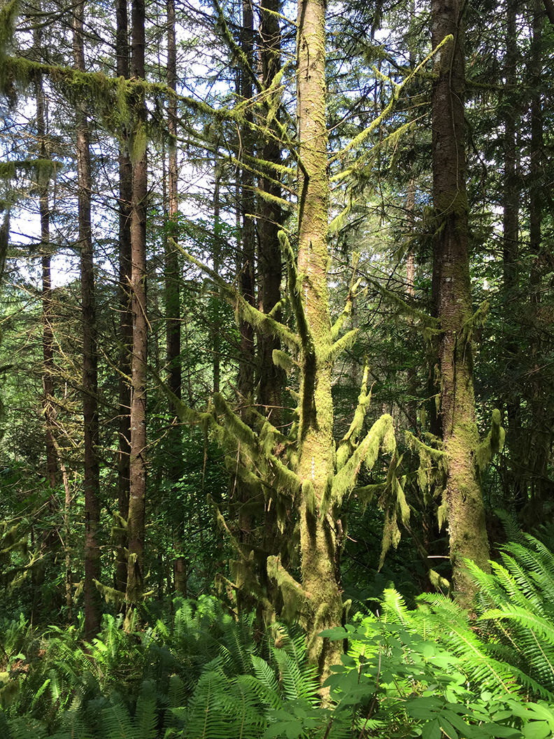 31-may20hike