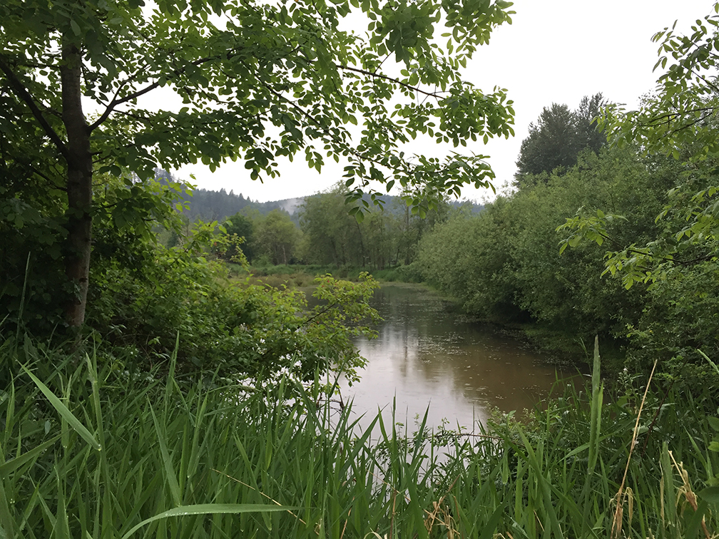 32-may15trailwalk