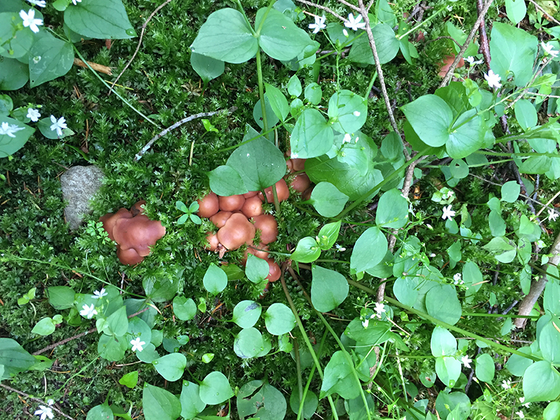 36-may20hike