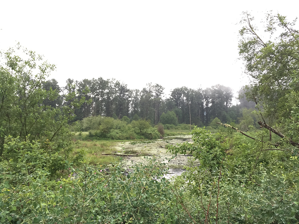 37-may15trailwalk