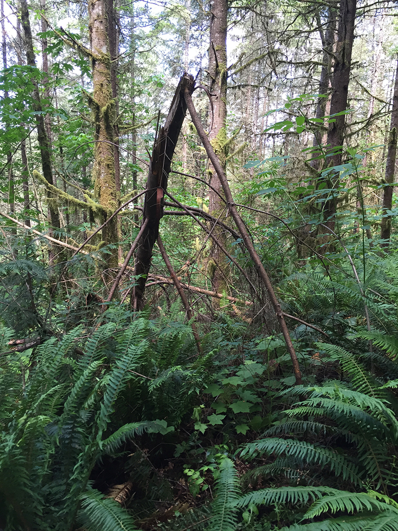 37-may20hike