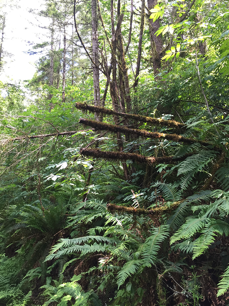 41-may20hike