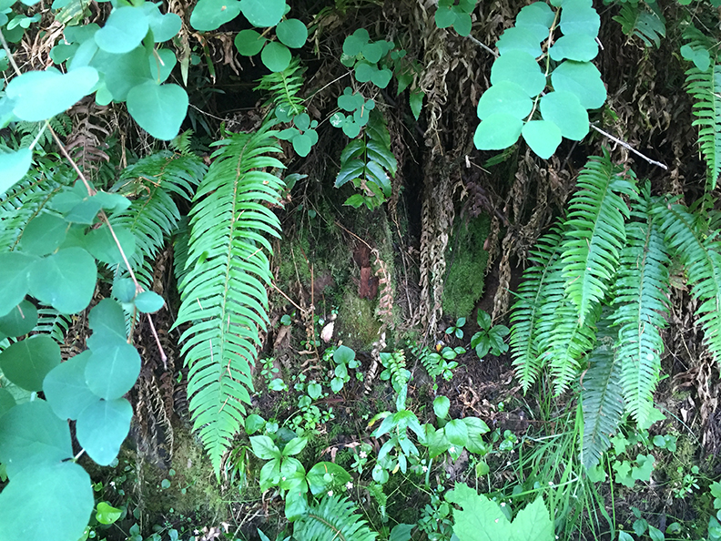 42-may20hike