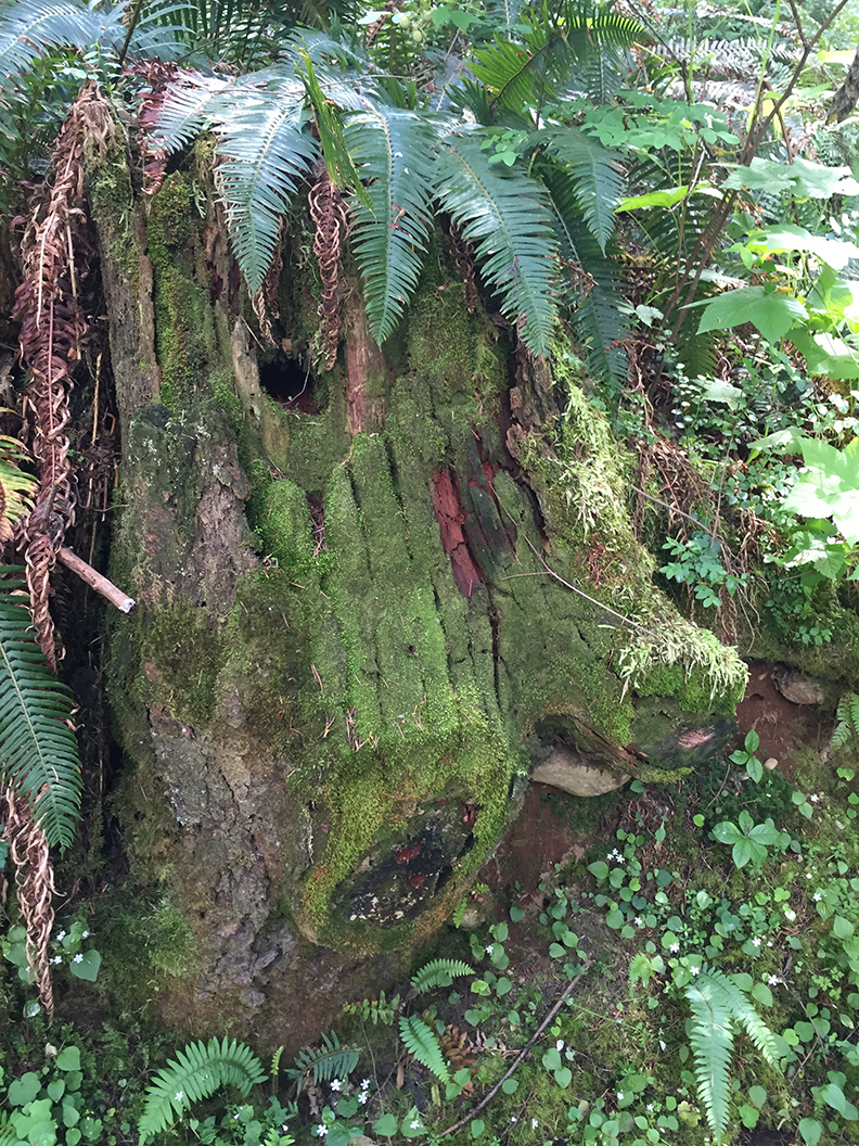 44-may20hike