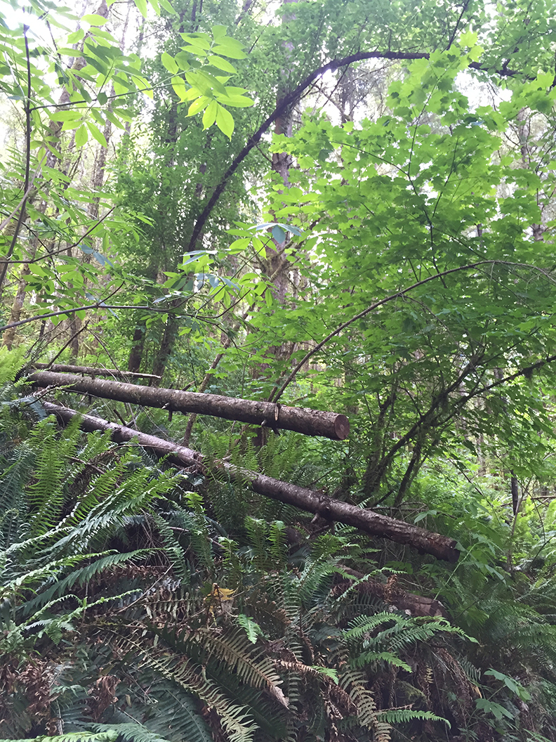 46-may20hike