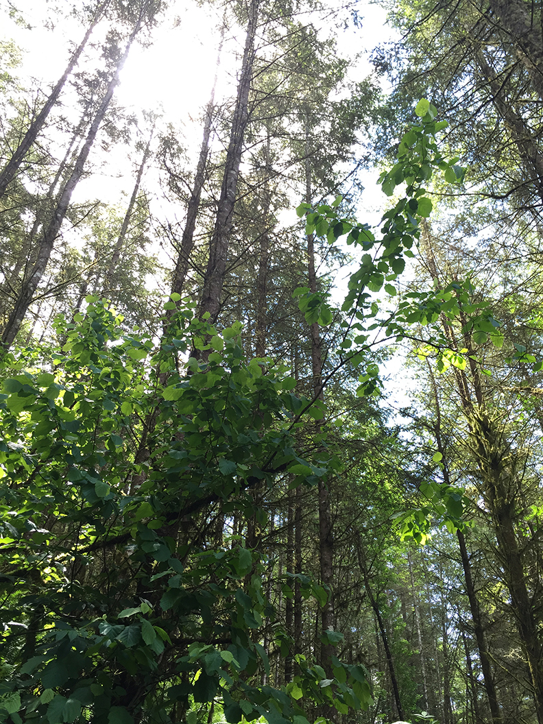 47-may20hike