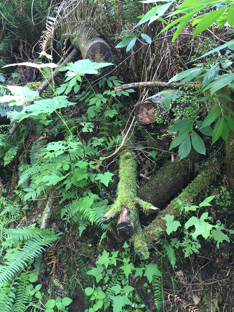 48-may20hike