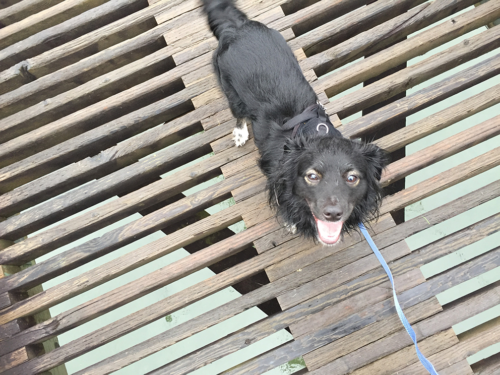 57-may15trailwalk
