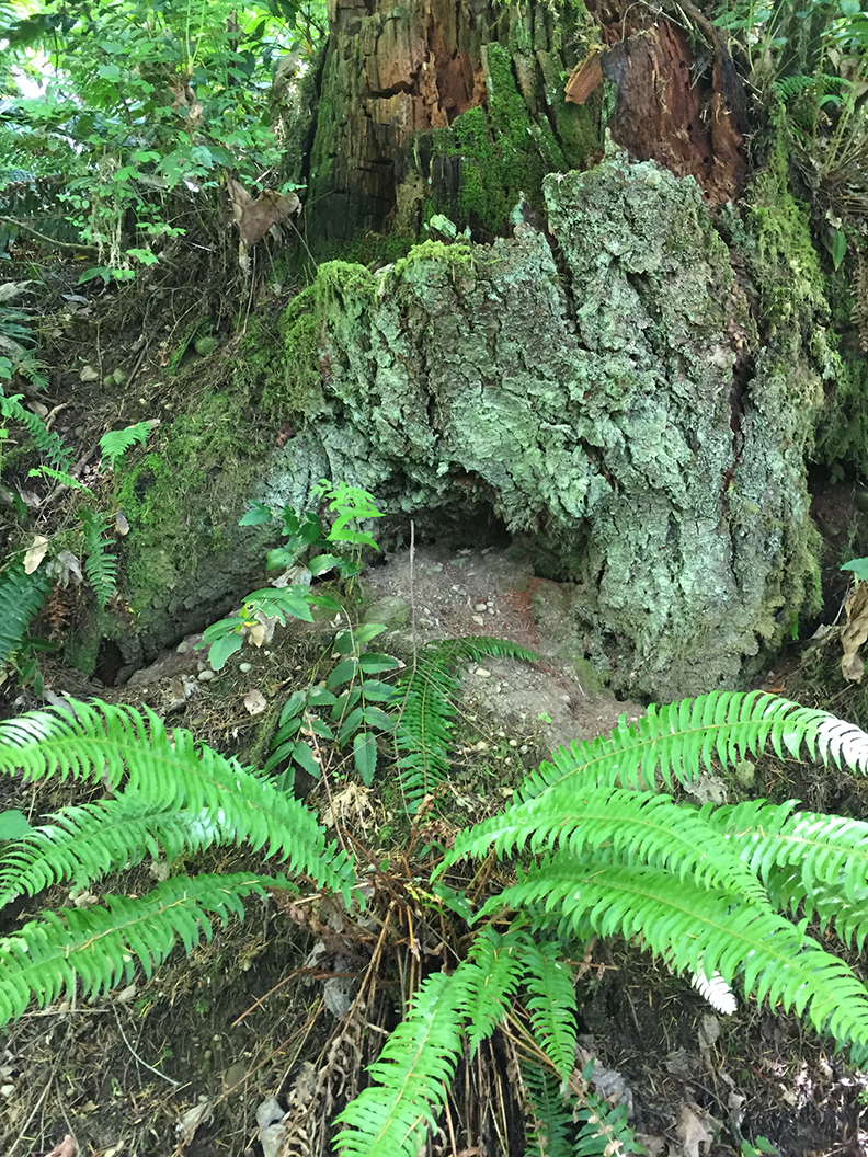 62-may20hike