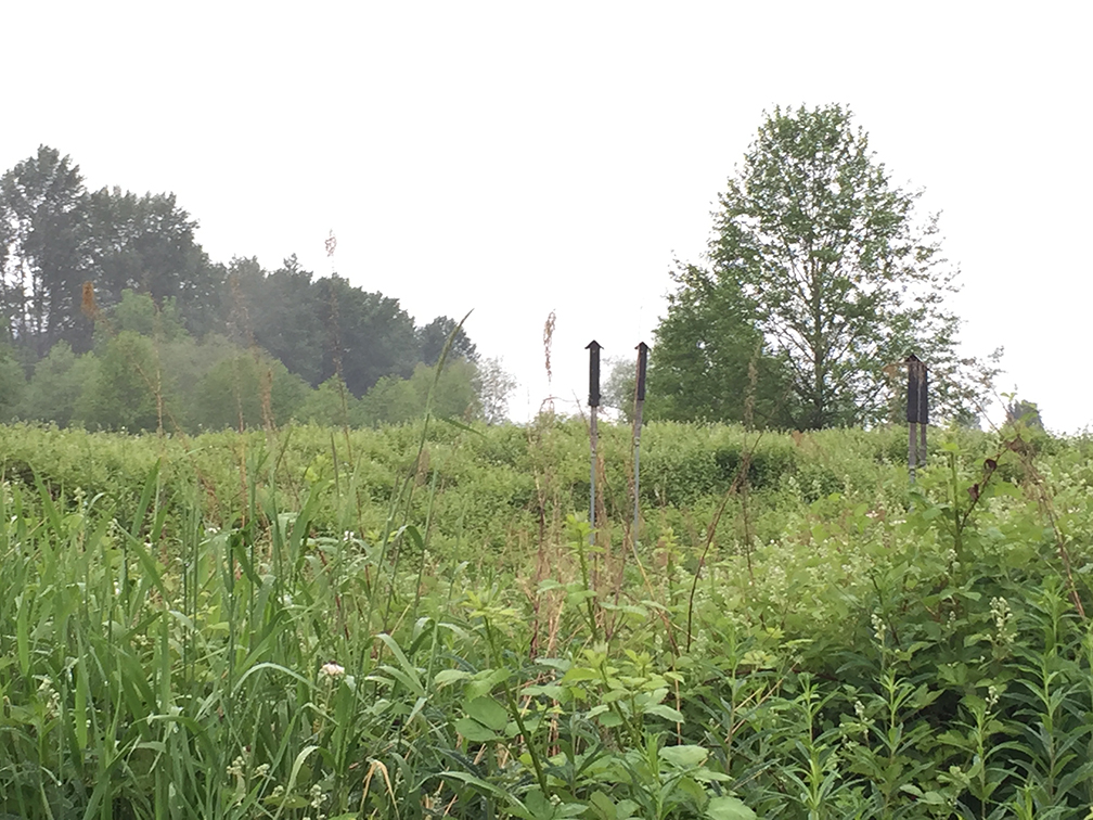 63-may15trailwalk