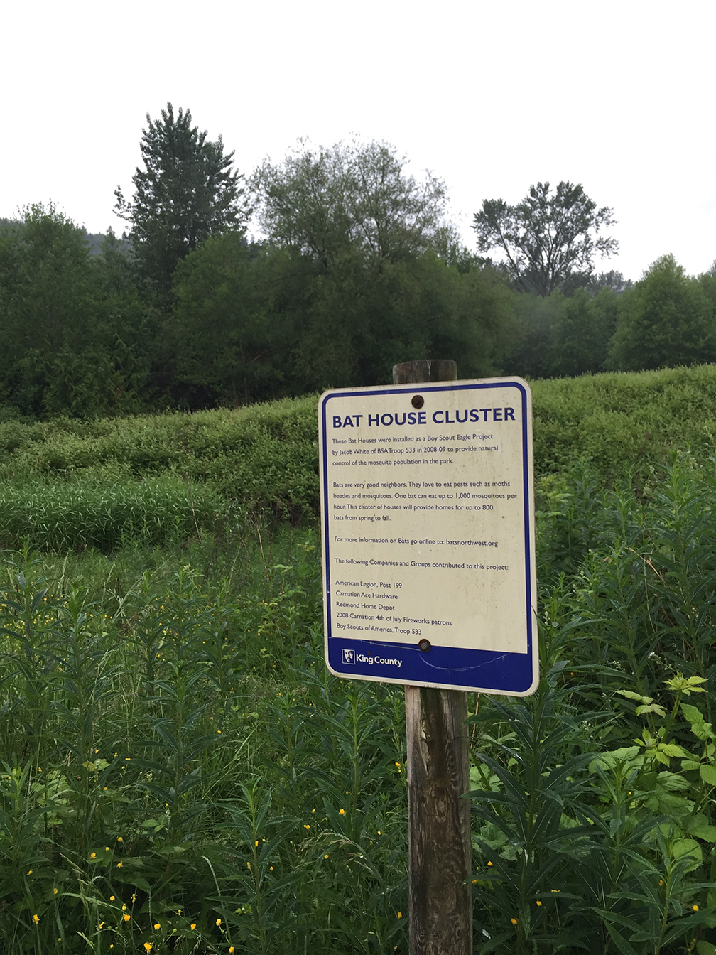64-may15trailwalk