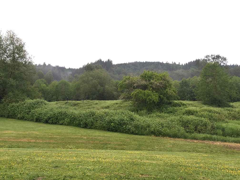 67-may15trailwalk