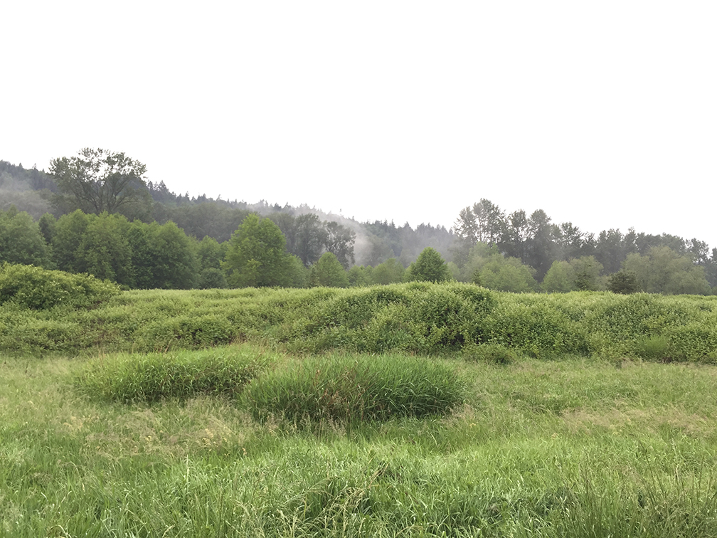 73-may15trailwalk